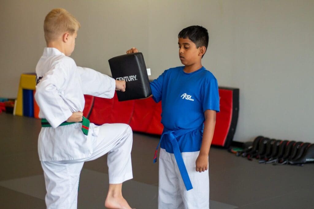 Taekwondo Classes Near Me in Fishers