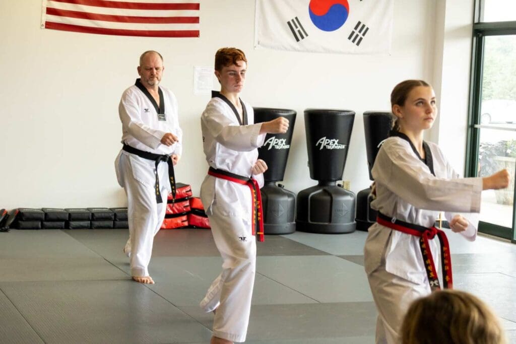 Teens Taekwondo Classes Ages 13&ndash;17