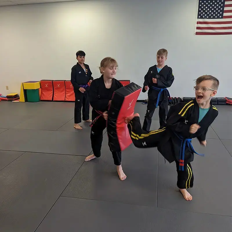 kids practicing kicks for kids taekwondo lessons